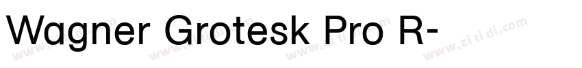 Wagner Grotesk Pro R字体转换